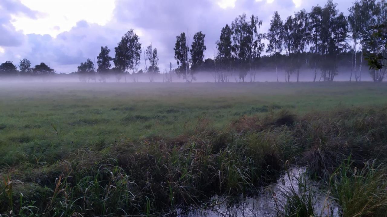 Slowinskie Widoki Domki Flora, Fauna, Noclegi 斯莫尔德兹斯基拉斯 外观 照片