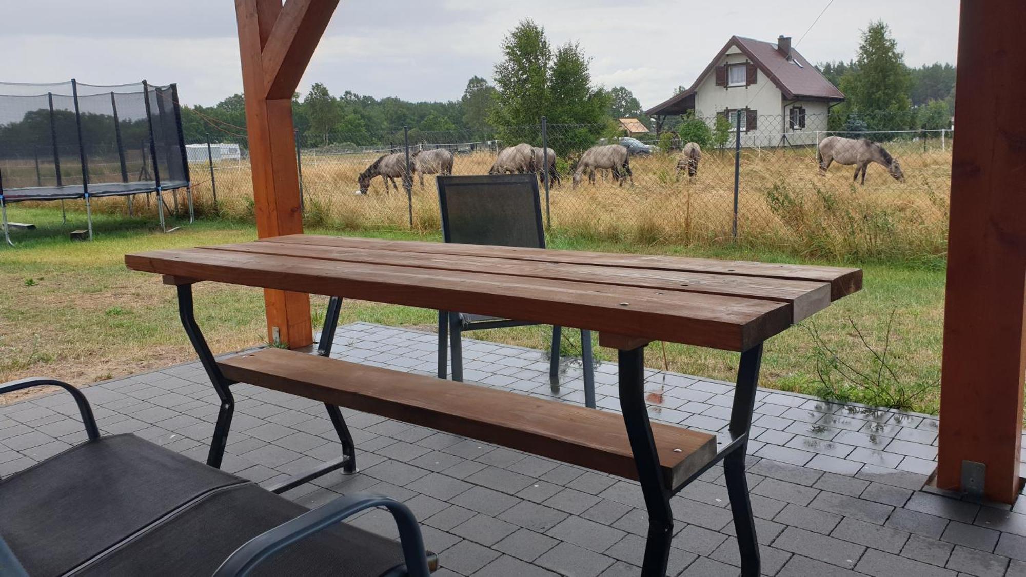Slowinskie Widoki Domki Flora, Fauna, Noclegi 斯莫尔德兹斯基拉斯 外观 照片