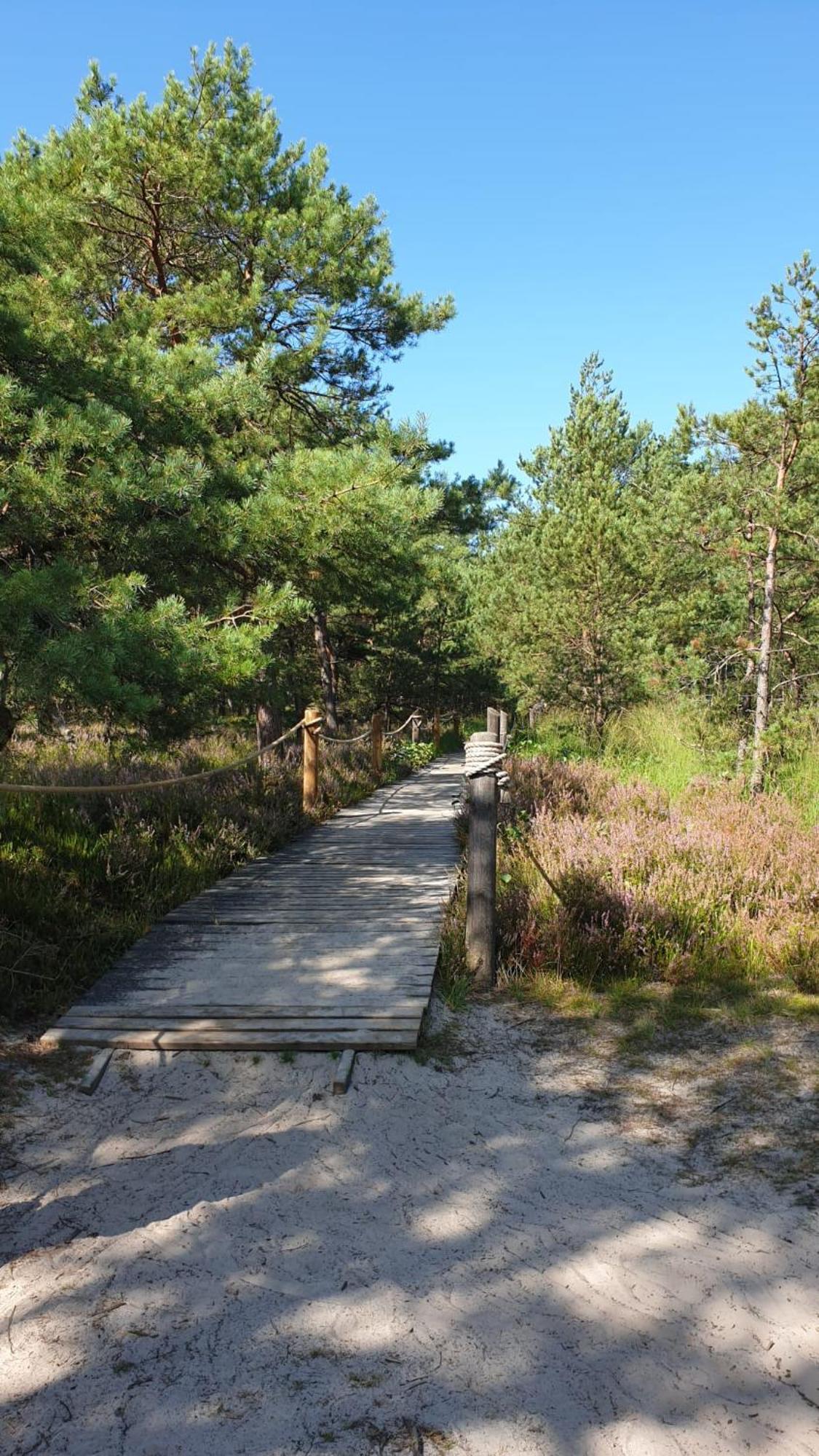 Slowinskie Widoki Domki Flora, Fauna, Noclegi 斯莫尔德兹斯基拉斯 外观 照片