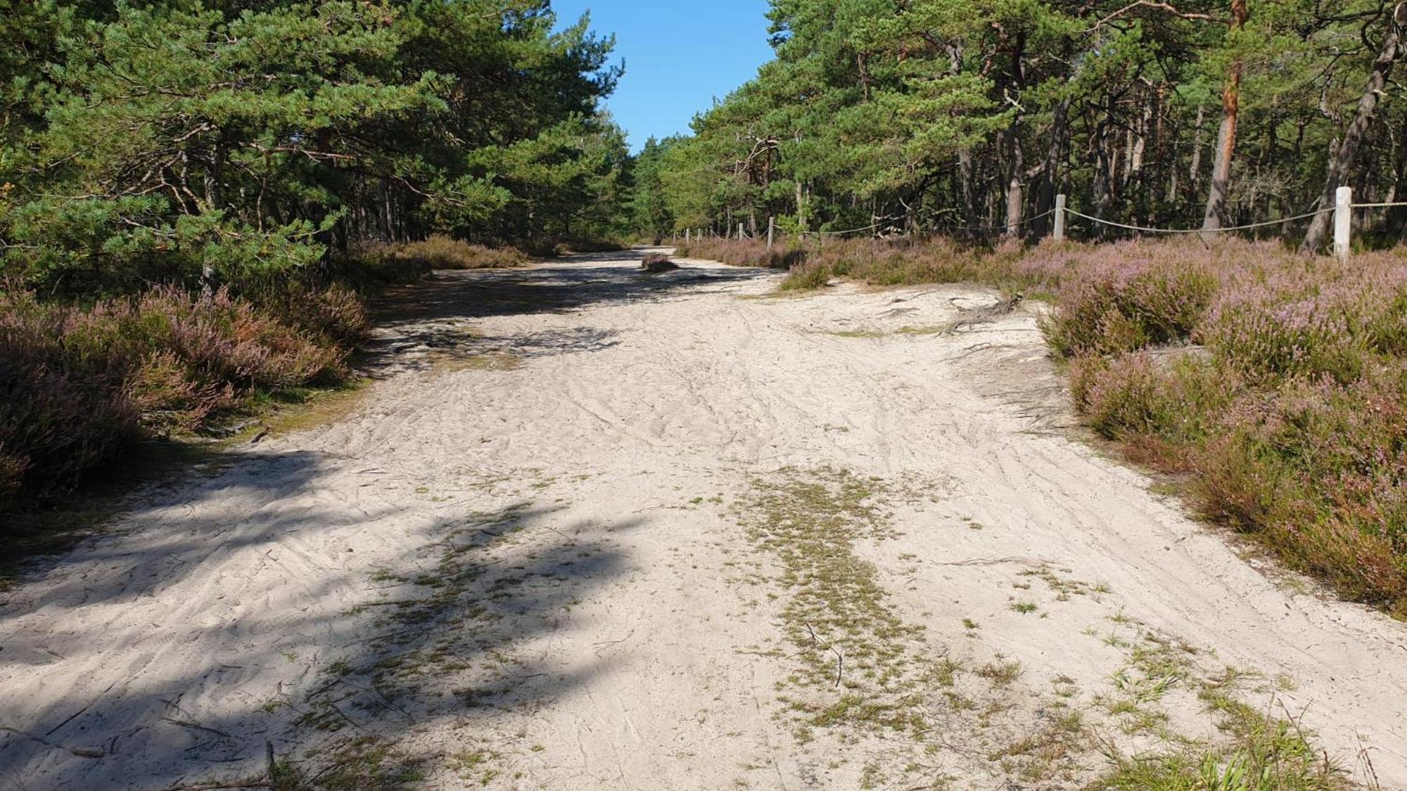 Slowinskie Widoki Domki Flora, Fauna, Noclegi 斯莫尔德兹斯基拉斯 外观 照片