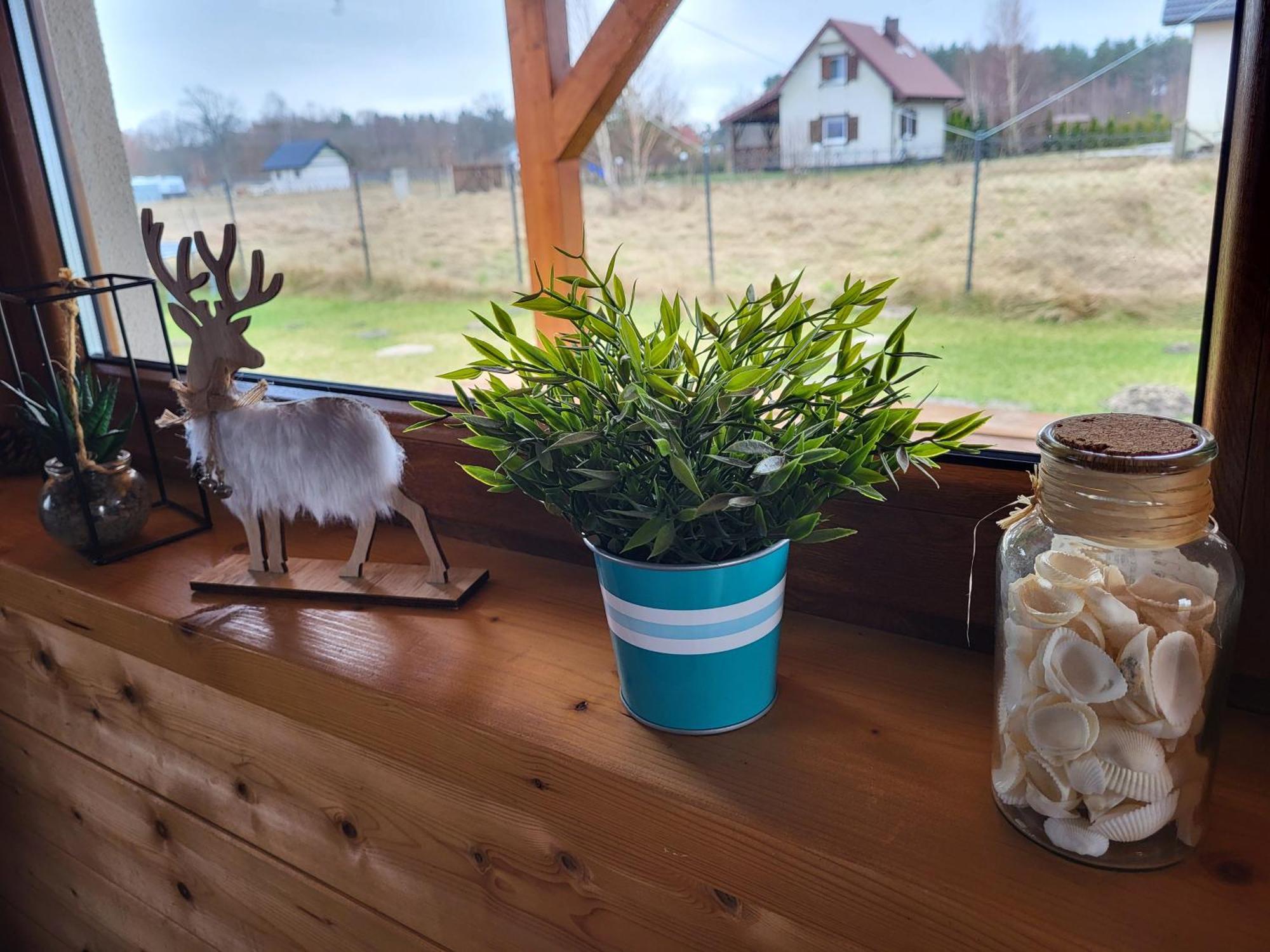 Slowinskie Widoki Domki Flora, Fauna, Noclegi 斯莫尔德兹斯基拉斯 外观 照片